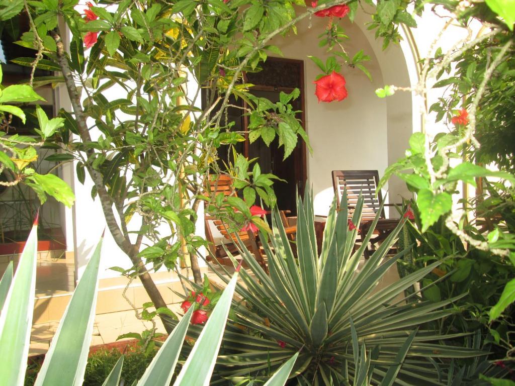 Tandem Guesthouse Hikkaduwa Exteriér fotografie